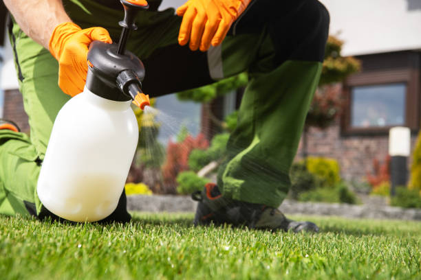 Best Pest Control Near Me  in Langley, WA
