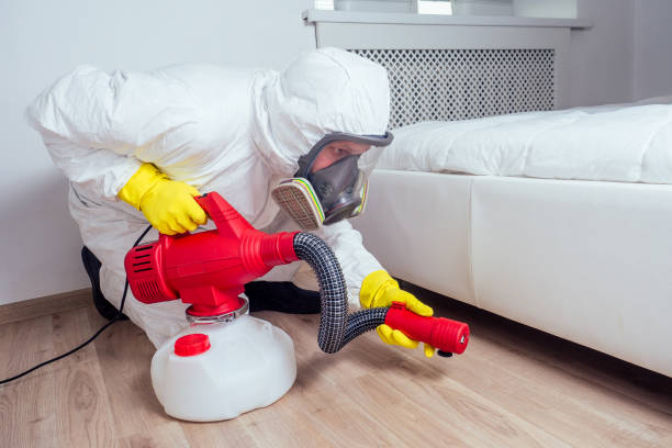 Best Best Pest Control Companies  in Langley, WA