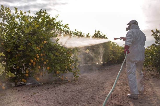 Best Cockroach Control Services  in Langley, WA