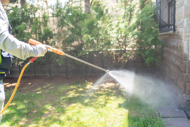 Best Local Pest Control Services  in Langley, WA