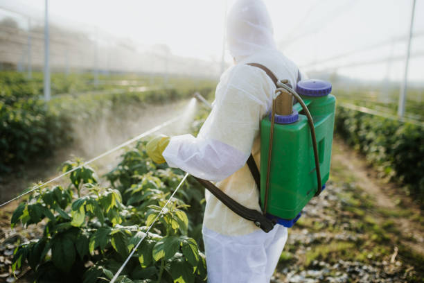 Best Affordable Pest Control Services  in Langley, WA